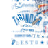 NBA Oklahoma City Thunder Historic Blast Bose Noise Cancelling Headphones 700 Skin