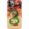 Dragon Ball Z One Wish Shenron iPhone 11 Pro Lite Case