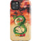 Dragon Ball Z One Wish Shenron iPhone Cases
