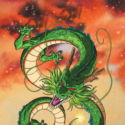 Dragon Ball Z One Wish Shenron iPhone X Pro Case