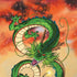 Dragon Ball Z One Wish Shenron iPhone X Pro Case