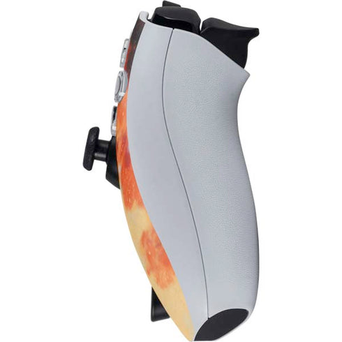 Dragon Ball Z One Wish Shenron PlayStation Portal Remote Player Skin