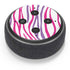 Orchid Zebra Animal Print Color Pop Amazon Echo Dot Skin