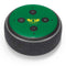 University of Oregon Ducks Green Amazon Echo Dot Skin