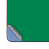 University of Oregon Ducks Green Galaxy Z Fold5 5G Skin