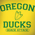 University of Oregon Ducks Quack Attack Dell Latitude Skin