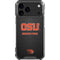 Oregon State University Logo iPhone 17 Pro Max Clear Case