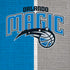 NBA Orlando Magic Canvas iPhone XS Max Skin