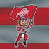 Ohio State University OSU Buckeyes Flag Nintendo 2DS XL (2017) Skin