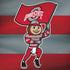 Ohio State University OSU Buckeyes Flag Dell Alienware Skin