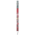 Ohio State University OSU Buckeyes Flag Apple Pencil (1st Gen, 2017) Skin