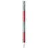 Ohio State University OSU Buckeyes Flag Apple Pencil (1st Gen, 2017) Skin