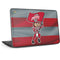 Ohio State University OSU Buckeyes Flag HP Chromebook Skin
