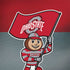 Ohio State University OSU Buckeyes Flag Galaxy Note 8 Skin