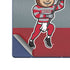Ohio State University OSU Buckeyes Flag Galaxy Z Fold6 Skin