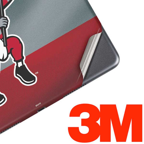 Ohio State University OSU Buckeyes Flag iPad Skins