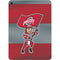 Ohio State University OSU Buckeyes Flag Apple iPad Air Skin