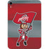Ohio State University OSU Buckeyes Flag Apple iPad Mini Skin