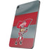 Ohio State University OSU Buckeyes Flag Apple iPad Mini Skin