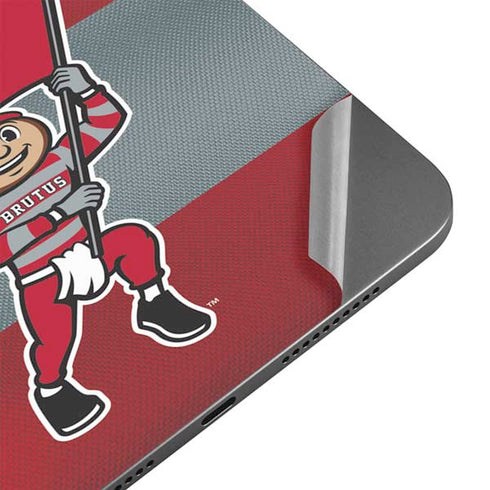 Ohio State University OSU Buckeyes Flag Apple iPad Mini Skin