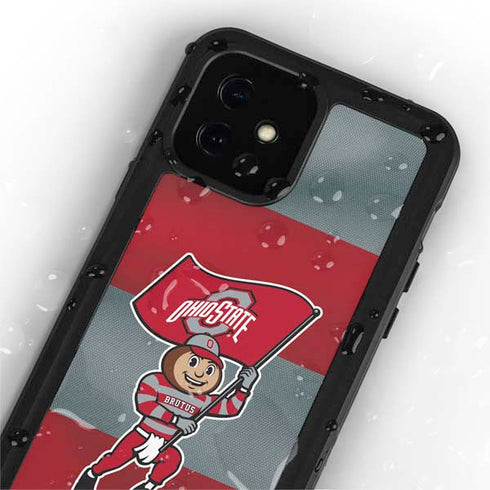 Ohio State University OSU Buckeyes Flag iPhone 12 Mini Waterproof Case