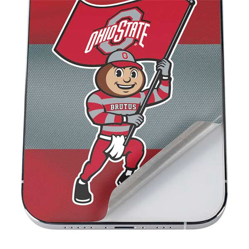 Ohio State University OSU Buckeyes Flag iPhone 12 Pro Skin