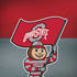 Ohio State University OSU Buckeyes Flag iPhone X Skin