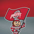 Ohio State University OSU Buckeyes Flag iPhone XR Skin