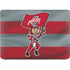 Ohio State University OSU Buckeyes Flag Apple MacBook Air Skin
