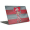Ohio State University OSU Buckeyes Flag MacBook Skins