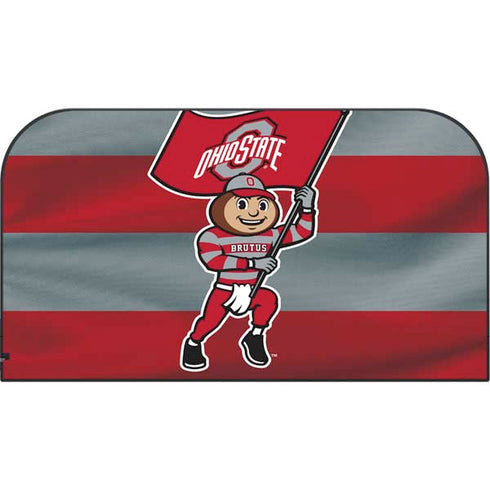 Ohio State University OSU Buckeyes Flag Nintendo Switch 2 (2025) with Joy-Con Skin