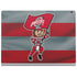 Ohio State University OSU Buckeyes Flag Surface Book 2 13.5in Skin