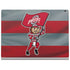 Ohio State University OSU Buckeyes Flag Surface Book 2 15in Skin