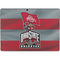 Ohio State University OSU Buckeyes Flag Surface Pro 8 Skin