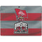 Ohio State University OSU Buckeyes Flag Surface Pro 9 Skin