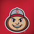 Ohio State University OSUBuckeyes Light Grey iPhone X Skin