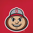 Ohio State University OSUBuckeyes Light Grey iPhone XR Pro Case