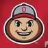 Ohio State University OSUBuckeyes Light Grey Dell Latitude Skin