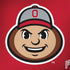 Ohio State University OSUBuckeyes Light Grey Legion Y720 Skin