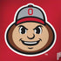 Ohio State University OSUBuckeyes Light Grey Apple MacBook Pro 15-inch Skin