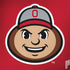 Ohio State University OSUBuckeyes Light Grey Notebook 9 Pro 13in (2017) Skin