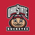 Ohio State University OSUBuckeyes Light Grey PS4 Slim Skin