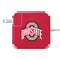 Ohio State University Buckeyes Red Logo 85W Power Adapter (15 and 17 inch MacBook Pro Charger) Skin