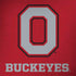 Ohio State University OSU O MacBook Skins