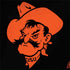 Oklahoma State University OSU Cowboys Dell Latitude Skin