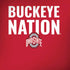 Ohio State University The Ohio State Buckeyes Amazon Echo Skin