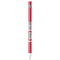 Ohio State University The Ohio State Buckeyes Apple Pencil (1st Gen, 2017) Skin