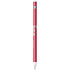 Ohio State University The Ohio State Buckeyes Apple Pencil (1st Gen, 2017) Skin