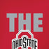 Ohio State University The Ohio State Buckeyes iPhone XR Skin
