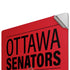 NHL Ottawa Senators Lineup Apple MacBook Pro 16-inch Skin